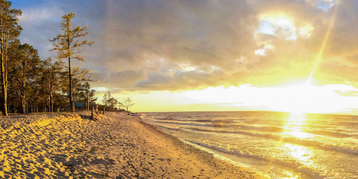 Гостевой двор «Багульник»