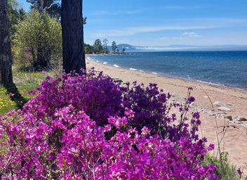 Экскурсия на Байкал